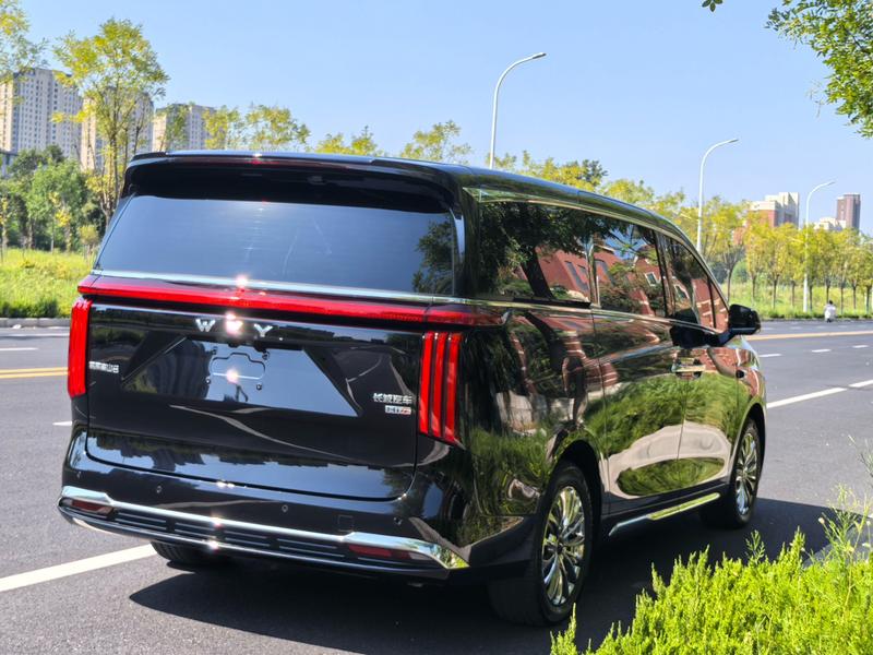 Wey 80 Hybrid, 2025 — фото 6 из 11