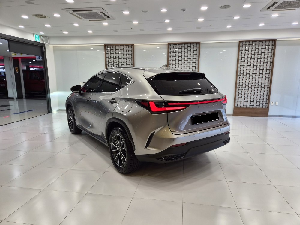 Lexus NX, 2025 — фото 2 из 12