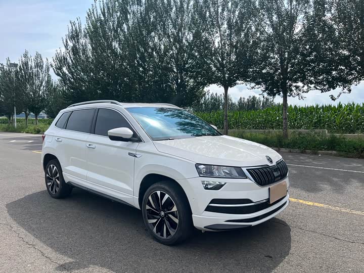 Skoda Karoq, 2022 — фото 8 из 9