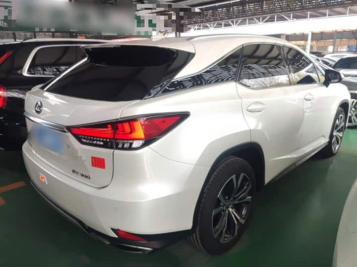 Lexus RX, 2022 — фото 7 из 9