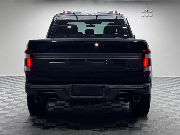 Ford F-150 Raptor, 2023 — фото 6 из 9