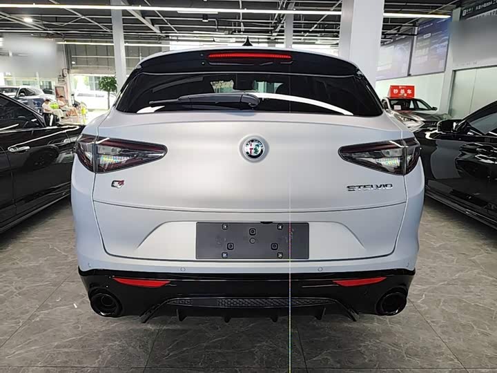 Alfa Romeo Stelvio, 2023 — фото 6 из 9