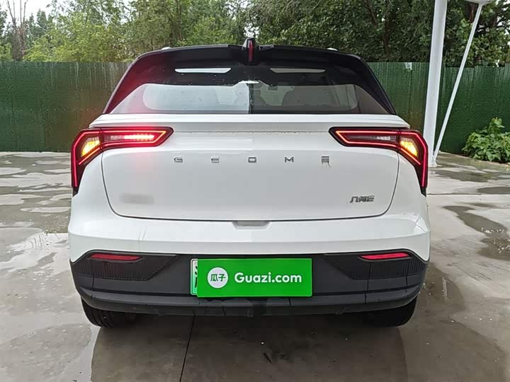 Geely Geometry E Firefly, 2023 — фото 6 из 9