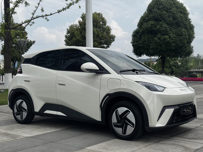 BYD Seagull, 2024 — фото 3 из 10