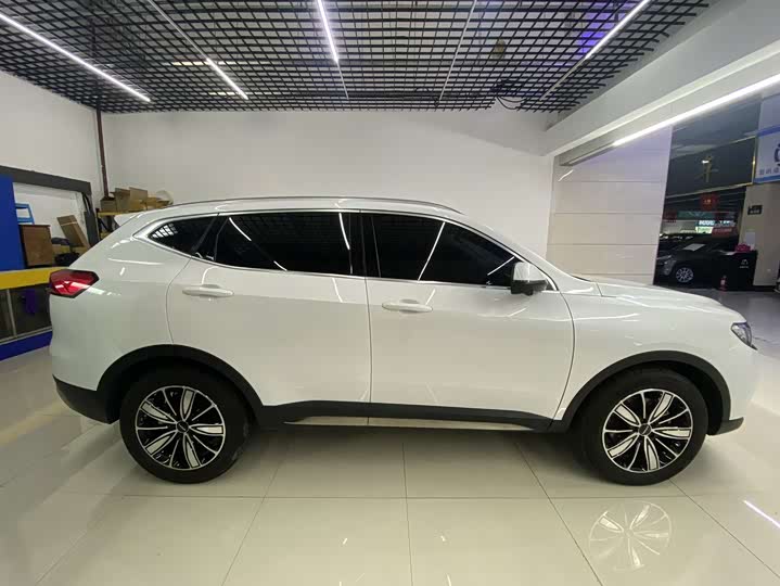 Haval H6, 2023 — фото 4 из 9