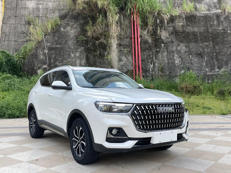 Haval H6, 2021 — фото 3 из 11