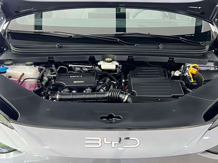 BYD Sea Lion 06 Hybrid/EV, 2025 — фото 4 из 9