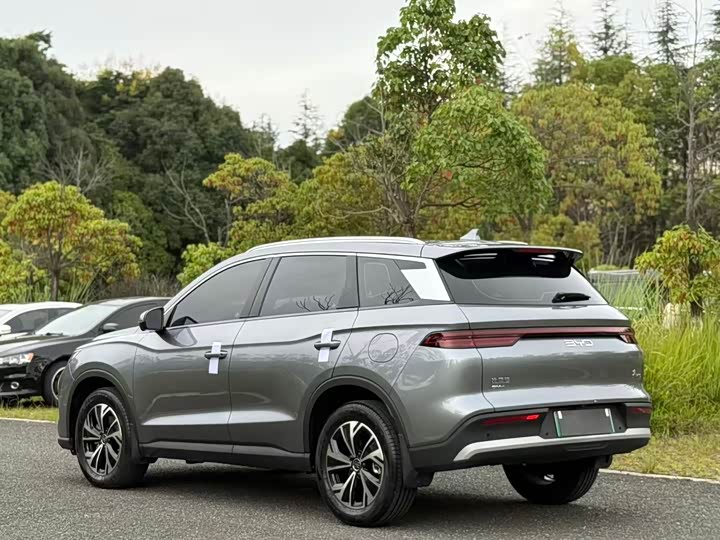BYD Song Pro Hybrid, 2024 — фото 6 из 9