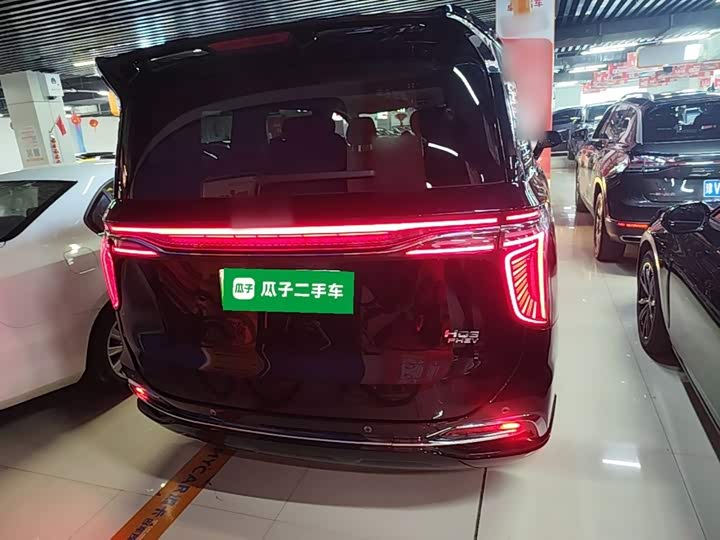 Hongqi HQ9 Hybrid, 2024 — фото 6 из 9