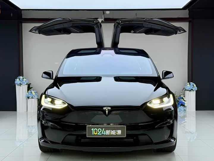 Tesla Model X, 2024 — фото 2 из 9