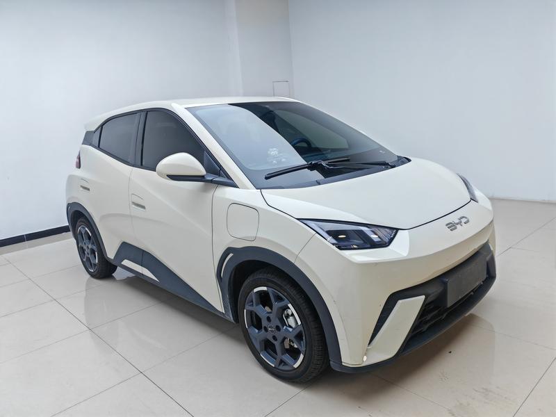 BYD Seagull, 2024 — фото 3 из 12