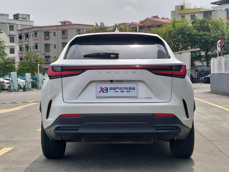 Lexus NX, 2023 — фото 6 из 12
