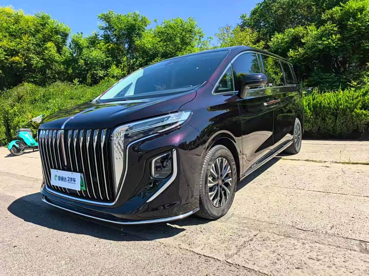 Hongqi HQ9 Hybrid, 2024 — фото 6 из 9
