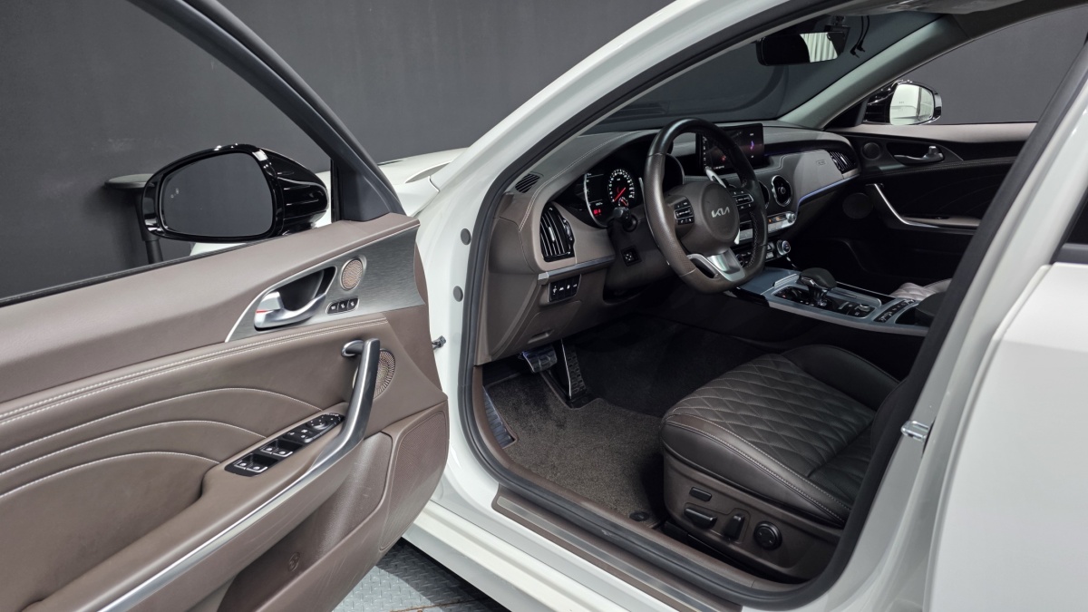 Kia Stinger, 2022 — фото 10 из 12