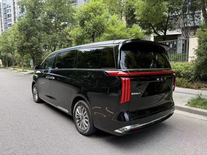Wey 80 Hybrid, 2025 — фото 3 из 9