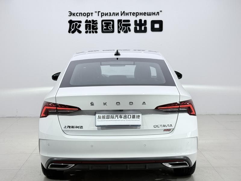 Skoda Octavia Pro, 2023 — фото 5 из 12
