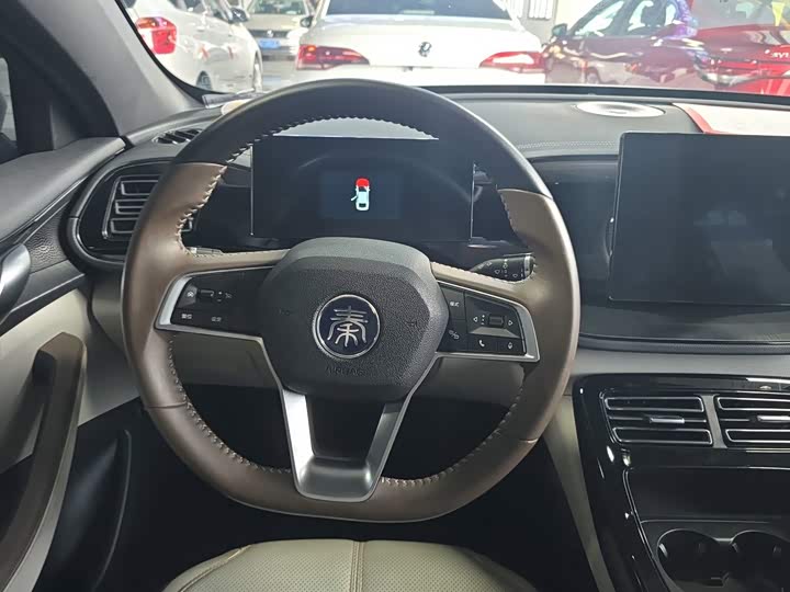 BYD Qin Plus, 2024 — фото 7 из 9