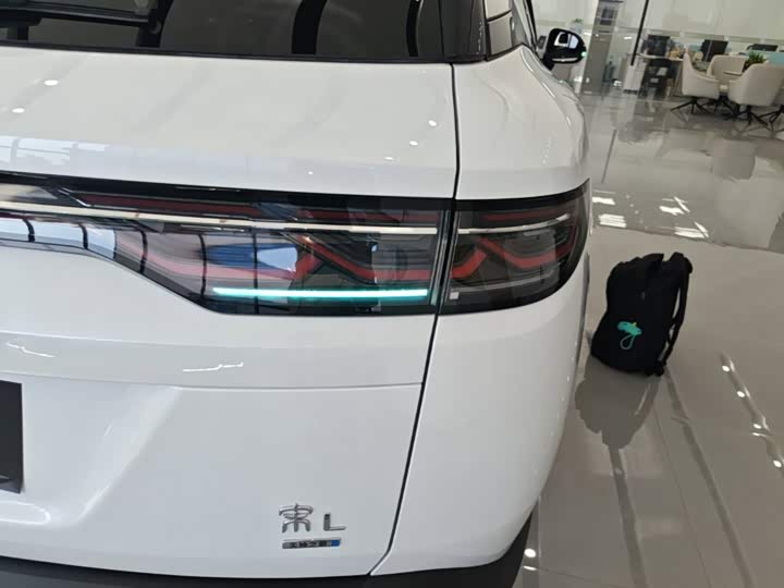 BYD Song L DM-i Hybrid, 2025 — фото 8 из 9