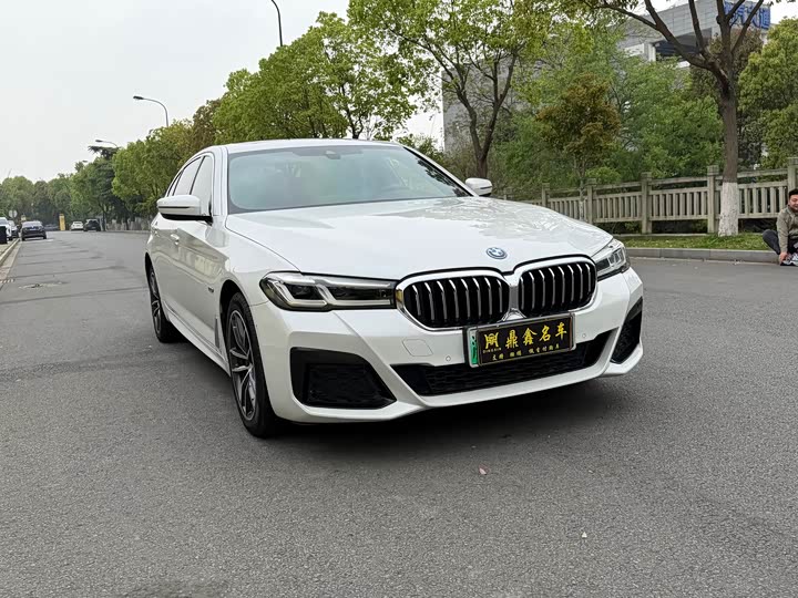 BMW 5 Series Hybrid, 2022 — фото 3 из 9