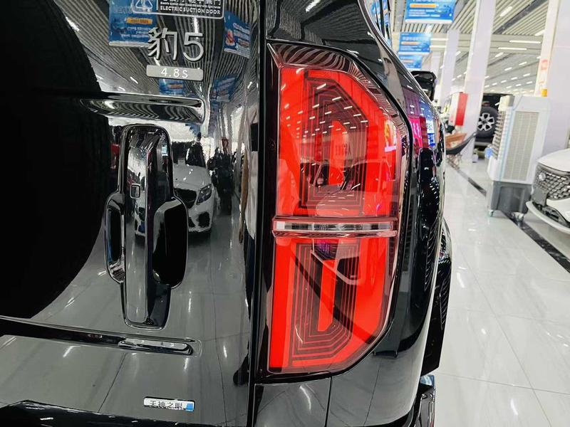 BYD FangChengBao Leopard 5, 2025 — фото 6 из 11