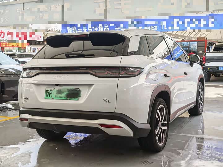 BYD Song L DM-i Hybrid, 2024 — фото 7 из 9