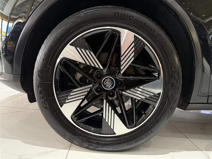 BYD Tang Hybrid/EV, 2023 — фото 9 из 9