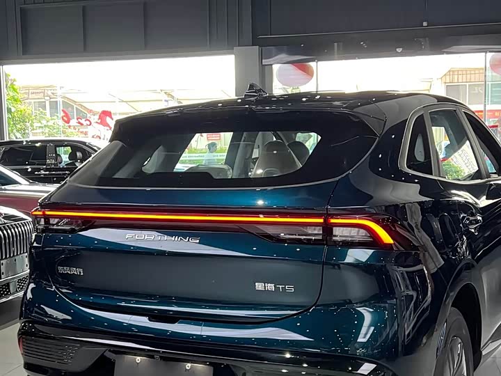 Dongfeng Forthing Xinghai T5, 2026 — фото 7 из 9
