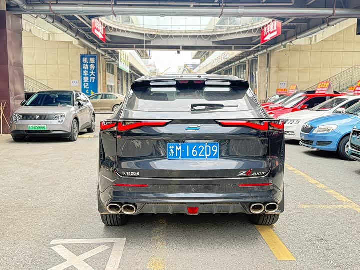 Changan Oshan Z6, 2024 — фото 8 из 9
