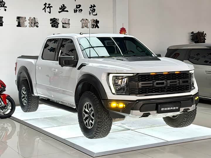 Ford F-150 Raptor, 2024 — фото 3 из 9