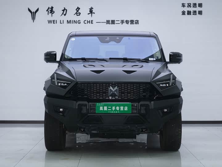 Dongfeng Mengshi M-Hero 917, 2024 — фото 2 из 9