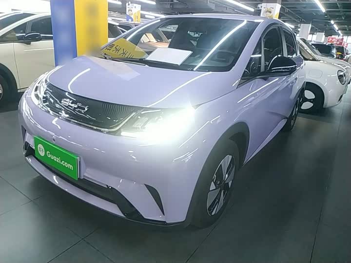 BYD Dolphin, 2024 — купить в Самаре под ключ