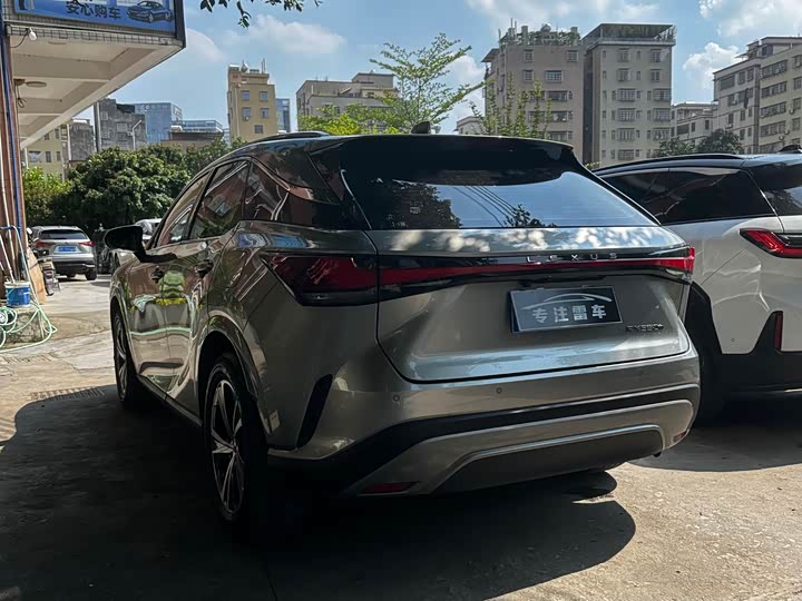 Lexus RX, 2022 — фото 7 из 9