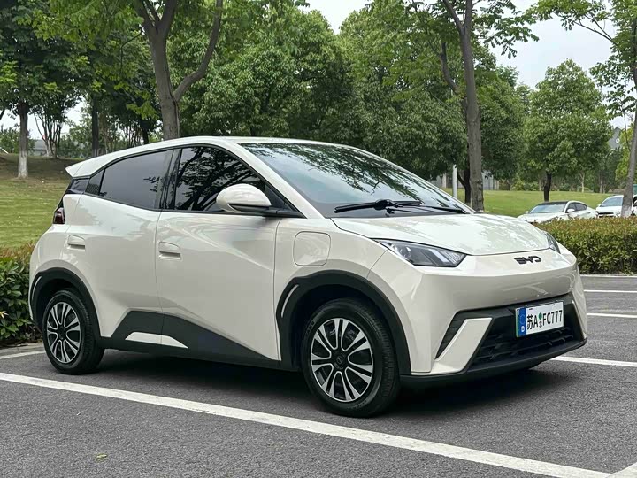 BYD Seagull, 2024 — фото 3 из 9