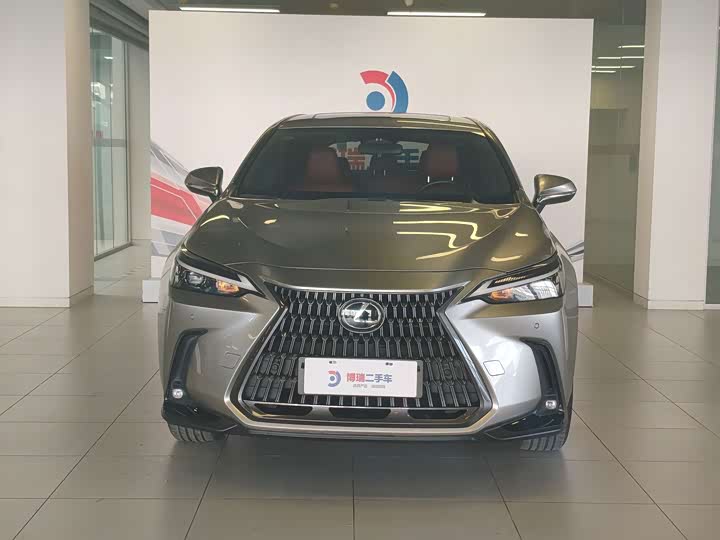 Lexus NX Hybrid, 2022 — фото 2 из 9