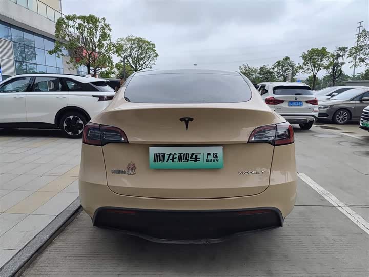 Tesla Model Y, 2023 — фото 8 из 9
