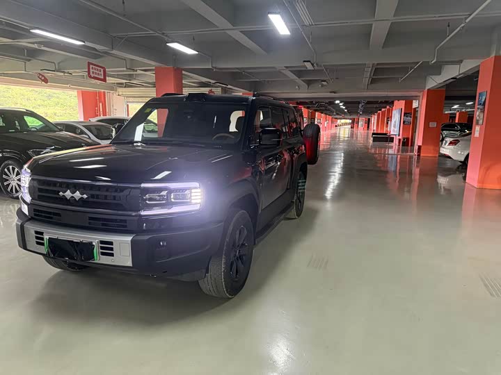 BYD FangChengBao Leopard 5, 2026 — купить в Санкт-Петербурге под ключ