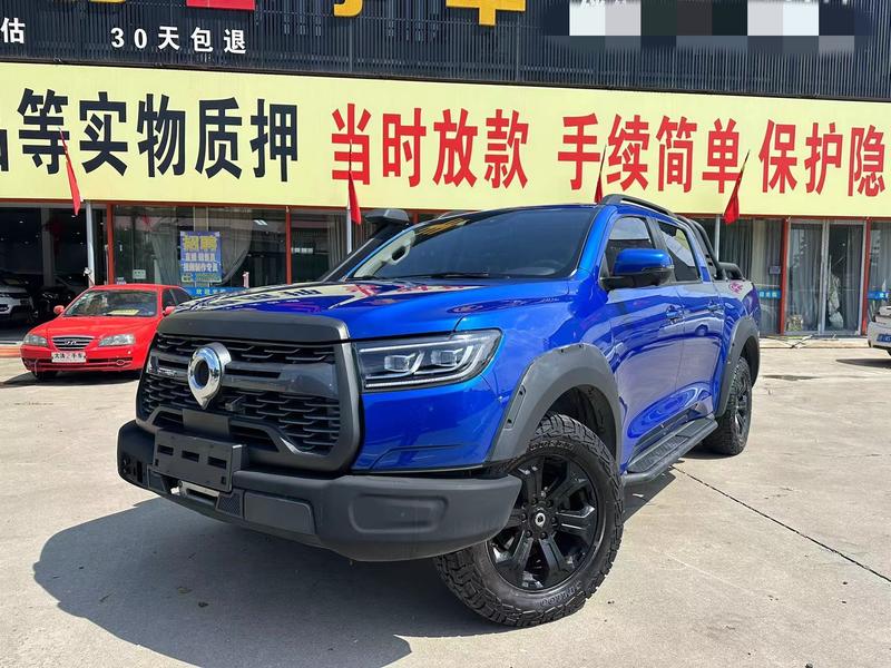 Great Wall Pao, 2022 — купить в Казани под ключ