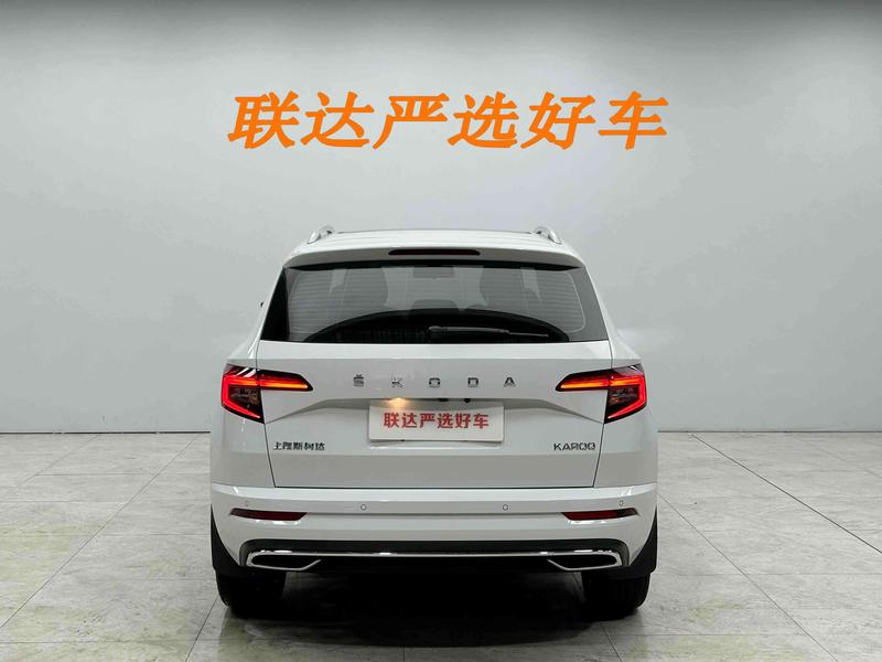 Skoda Karoq, 2025 — фото 5 из 12