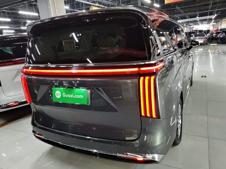 Wey 80 Hybrid, 2025 — фото 7 из 9