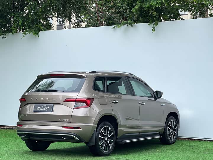 Skoda Karoq, 2022 — фото 7 из 9