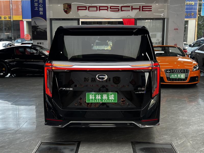 GAC Trumpchi M8, 2024 — фото 6 из 12