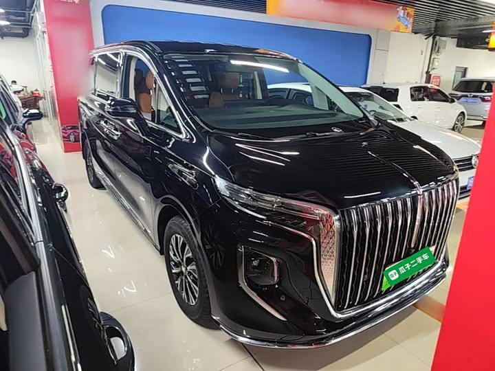 Hongqi HQ9 Hybrid, 2024 — фото 4 из 9