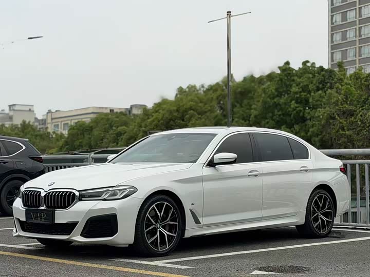 BMW 5 Series, 2021 — купить в Курске под ключ