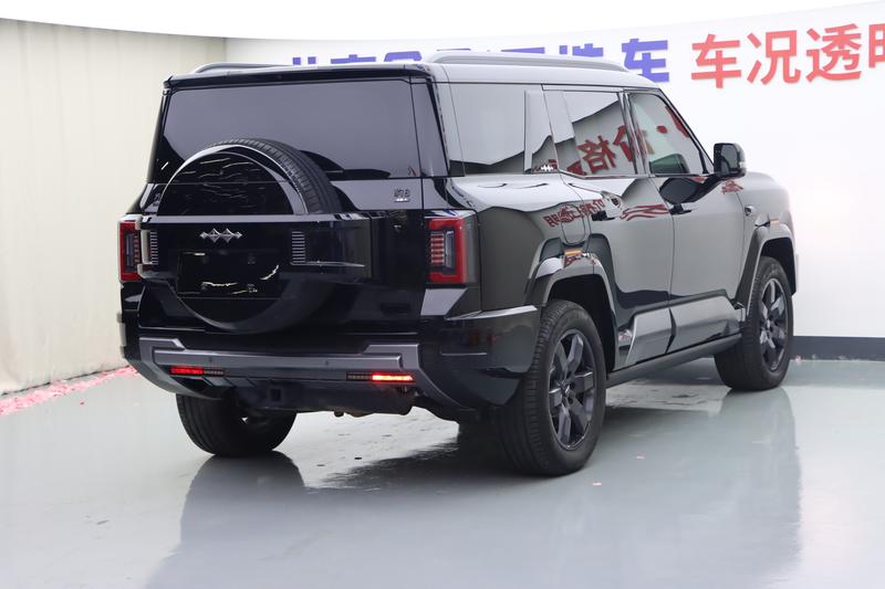 BYD FangChengBao Leopard 8, 2025 — фото 6 из 12