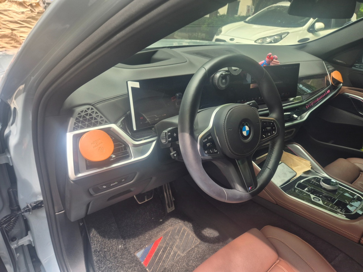 BMW X6, 2025 — фото 6 из 12