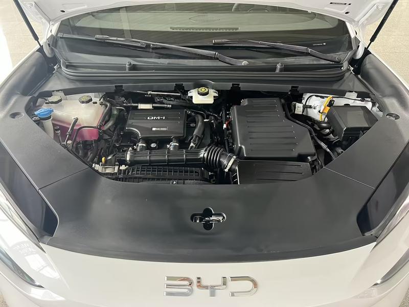 BYD Sea Lion 06 Hybrid/EV, 2026 — фото 10 из 12