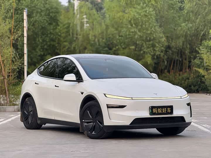Tesla Model Y, 2025 — фото 3 из 9