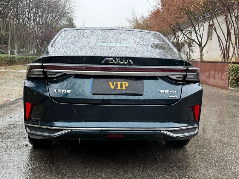 Dongfeng Aeolus Yixuan Max, 2022 — фото 6 из 12