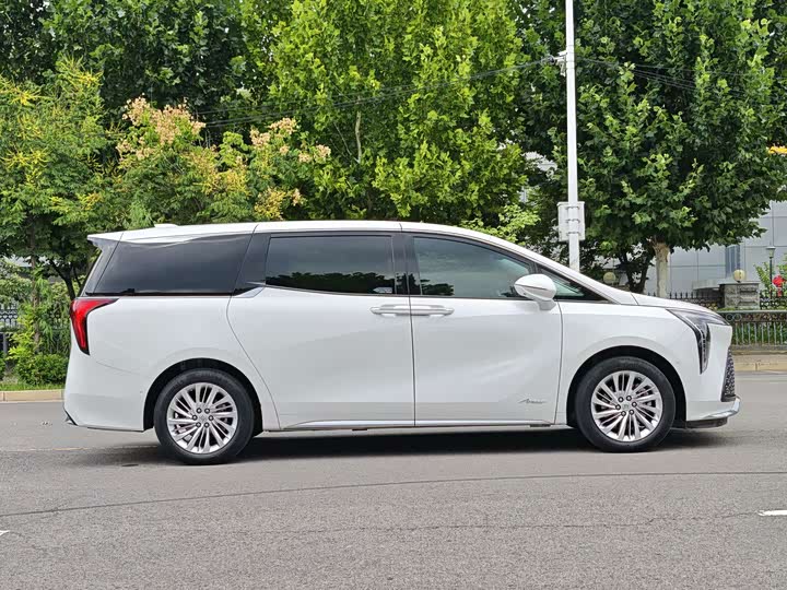 Buick GL8 Century, 2024 — фото 9 из 9