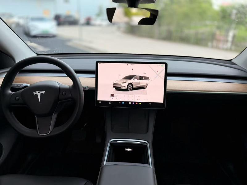 Tesla Model Y, 2021 — фото 6 из 9